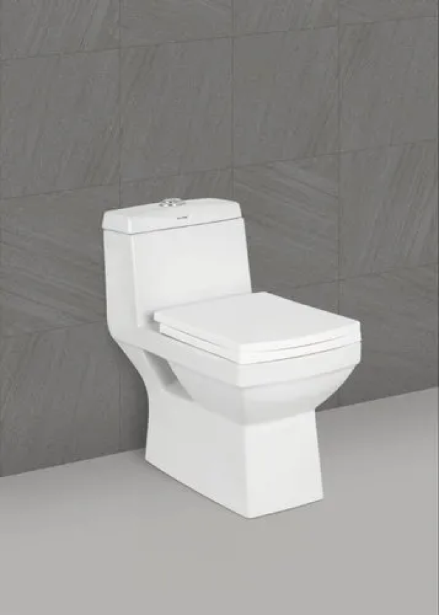 Sanitary Ware Single Piece Suit