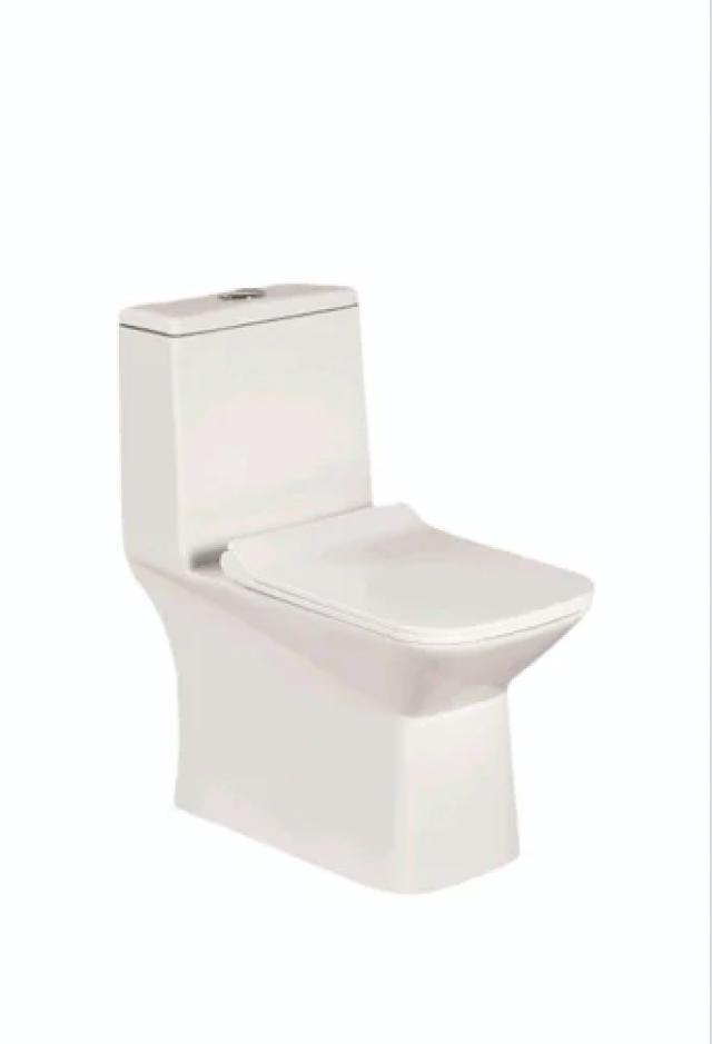 Kohler Toilet