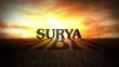 Surya Roshini ltd
