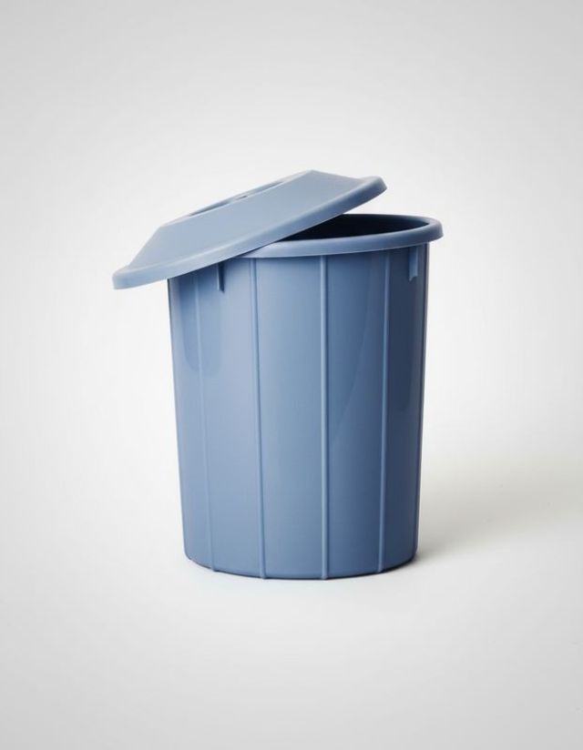 DUST BIN
