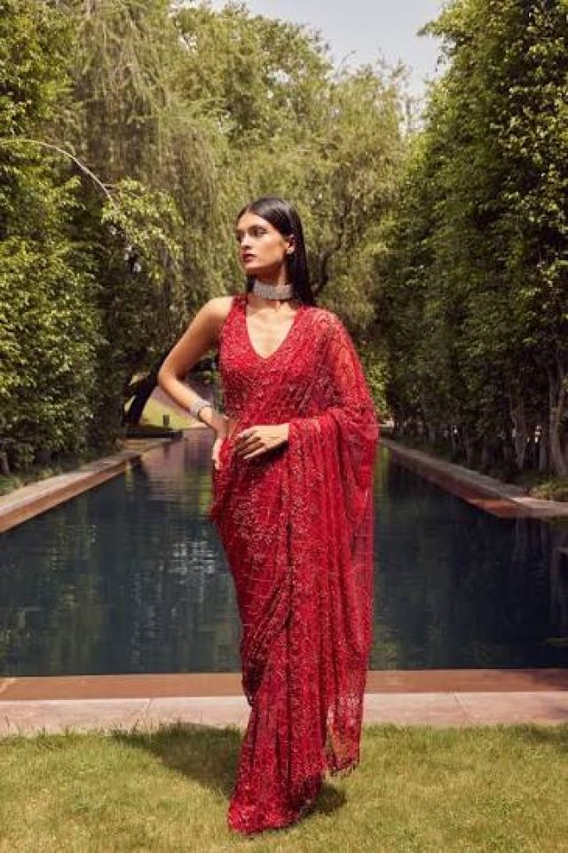Net sarees